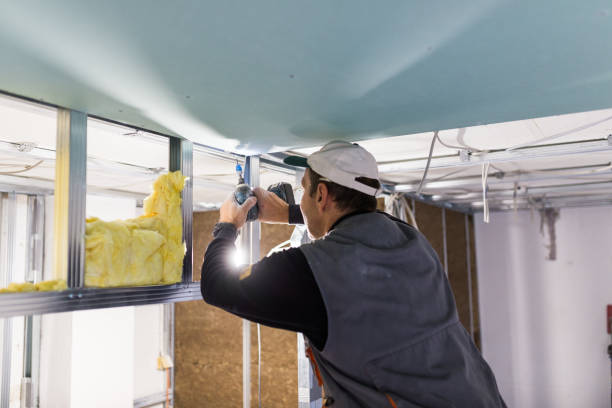 Best Insulation Installation Services in West Elmira, NY