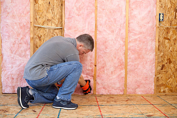Best Residential Insulation in West Elmira, NY